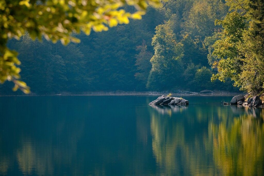 lake, rocks, forest-6641880.jpg